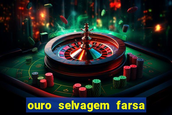 ouro selvagem farsa ouro selvagem o que aconteceu